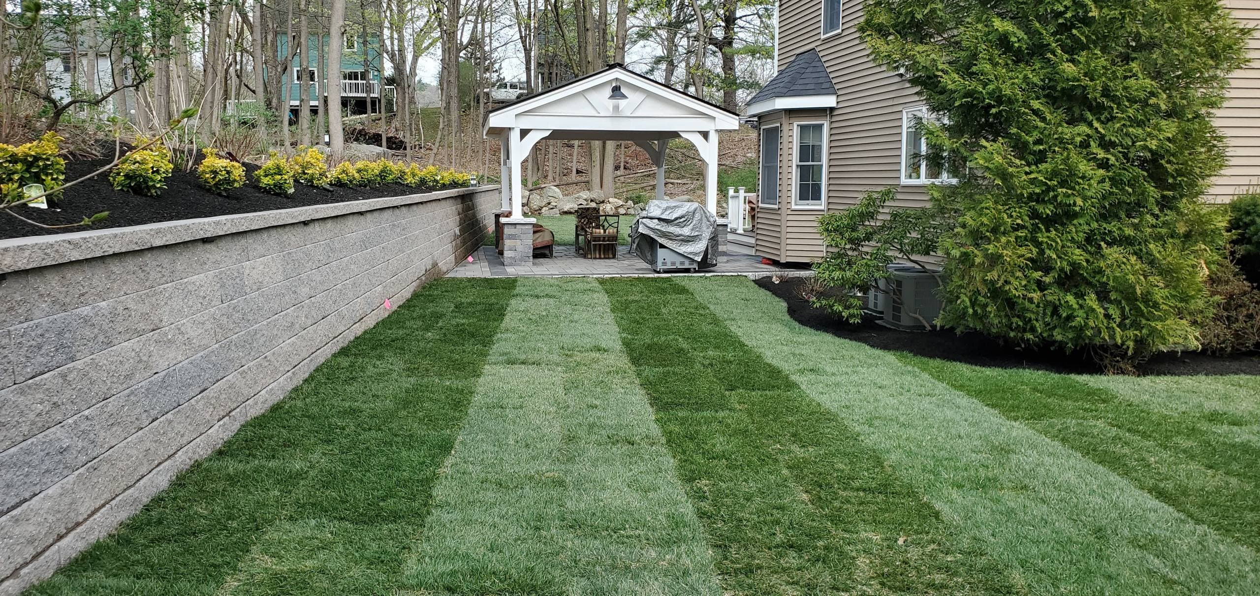 Landscaping transformation 1