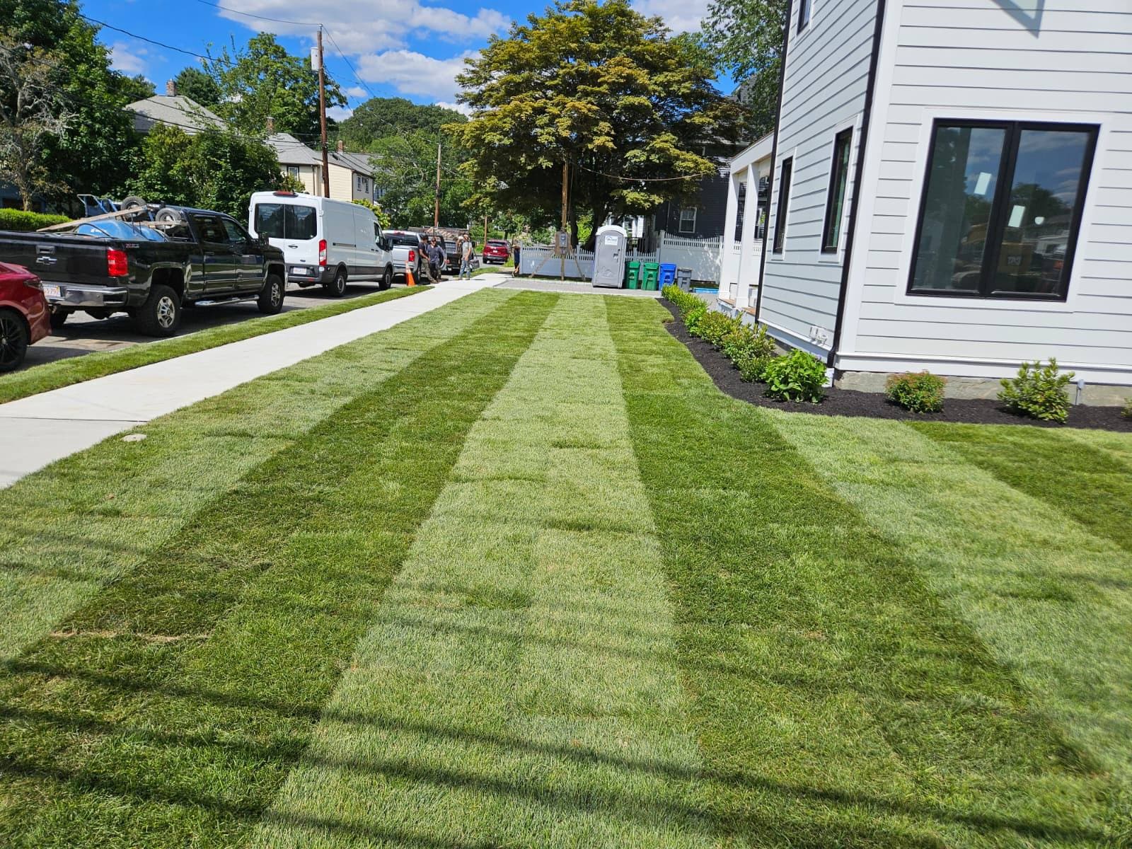 Landscaping transformation 4